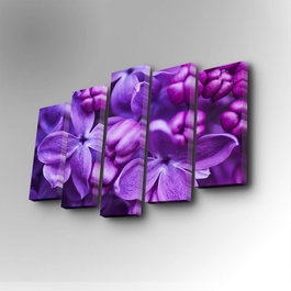 Wallity Cuadro Decorativo en Lienzo 5 Piezas Multicolor 5PUC-063